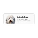 Search for sheepdogs return address labels Dog breed