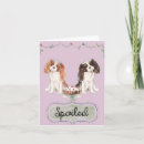 Search for spoiled cards Pink