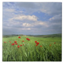 Search for grassland tiles Green