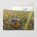Search for tundra postcards Nature