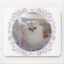 Search for longhair electronics Pets