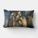 Search for baby chick nursery decor Wildlife