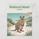 Search for wildlife postcards Souvenir