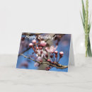 Search for cherry blossom birthday cards Tree