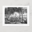 Search for natives postcards After