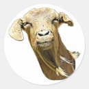 Search for funny scrapbook stickers Wildlife