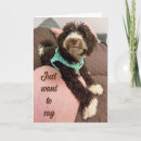 Search for bernedoodle cards Veterinarian