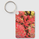 Search for japanese maple accessories Leaves