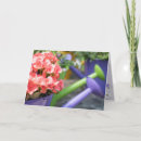 Search for begonias cards Garden