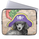 Search for buccaneer electronics Skull and crossbones