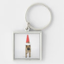 Search for wild boar key rings Nature