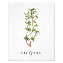 Search for kitchen herb art Botanical