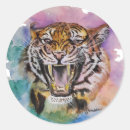 Search for tiger cat stickers Watercolor