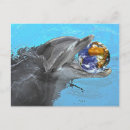Search for dolphin design postcards Animals