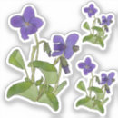 Search for tender stickers Flower