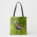 Search for swallowtail butterfly accessories Nature