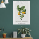 Search for bitterness art Vintage