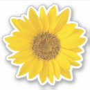 Search for flower petal stickers Sunflower