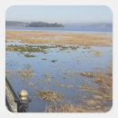 Search for estuaries stickers Estuary
