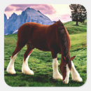 Search for clydesdale stickers Equine