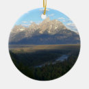 Search for hole christmas tree decorations Wyoming
