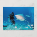 Search for dive travel postcards Underwater