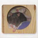 Search for rat mousepads Fancy