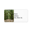 Search for angel oak tree Photography