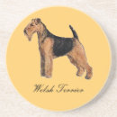 Search for welsh coasters Animal