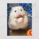 Search for syrian postcards Hamster