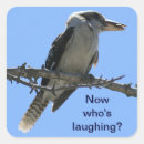 Search for laughing bird stickers Kingfisher