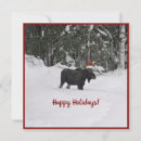 Search for moose seasonal cards Alaska