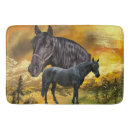 Search for andalusian horse Andalusian horses