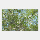 Search for dogwood flowers stickers Tree