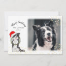 Search for dog photo christmas cards Pet