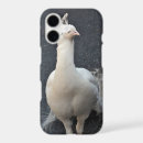 Search for albino iphone cases White
