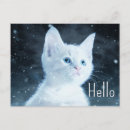 Search for blue eyes postcards White kitten