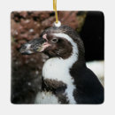 Search for penguin christmas tree decorations Black