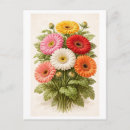 Search for gerber daisies postcards Vintage