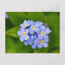 Search for nots postcards Floral