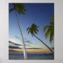 Search for plantation posters Coast
