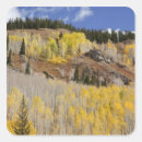 Search for gunnison stickers Usa