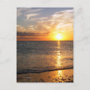 Search for auguste postcards Ocean