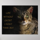 Search for funny cat sayings art Cute