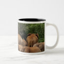 Search for alison mugs Tree