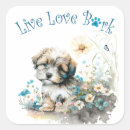 Search for havanese dog stickers Cute