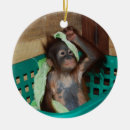 Search for donation christmas tree decorations Wildlife