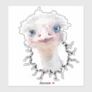 Search for big eyes bird stickers Cute