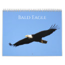 Search for bald office supplies Eagle