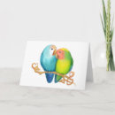 Search for parrots valentines day cards Lovebirds